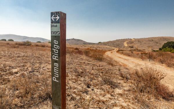 Irvine Regional Park in Tustin, Calif., on Oct. 5, 2022. (John Fredricks/The Epoch Times)