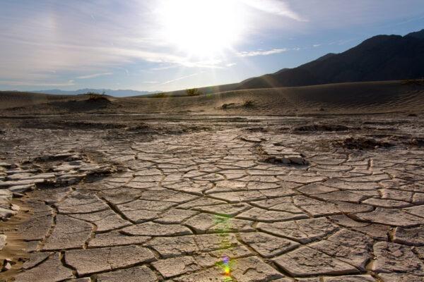 (Jeff Perkin for American Essence)