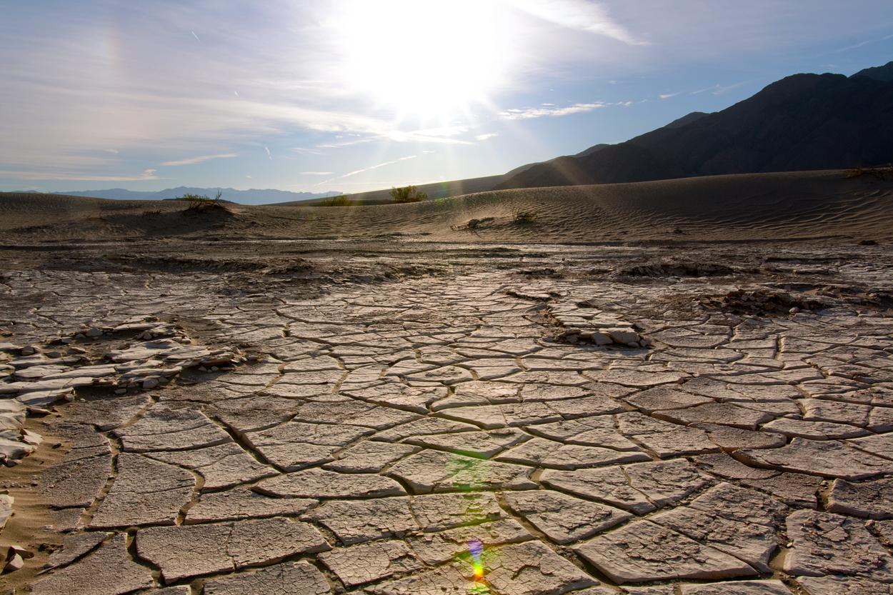 (Jeff Perkin for American Essence)