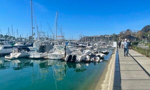 Dana Point Marina in Dana Point, Calif., on Nov. 23, 2022. (Carol Cassis/The Epoch Times)