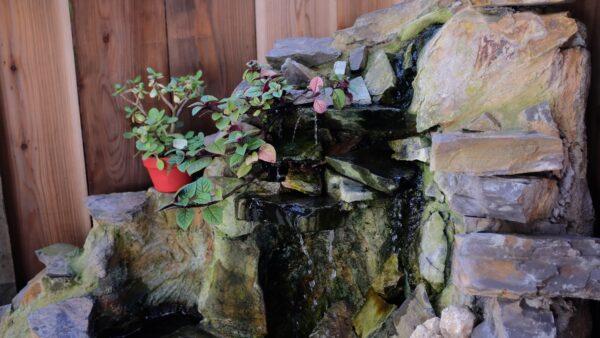 A corner of the Secret Garden next to Pilgrim’s Way Books in Carmel, Calif., on Oct. 18, 2022. (David Lam/NTD)