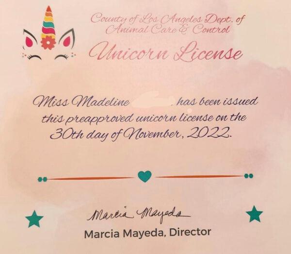 This image shows an "unicorn license," after a young girl requested permission to have a unicorn in her backyard, if she could find one. (Los Angeles County Animal Care and Control via AP)