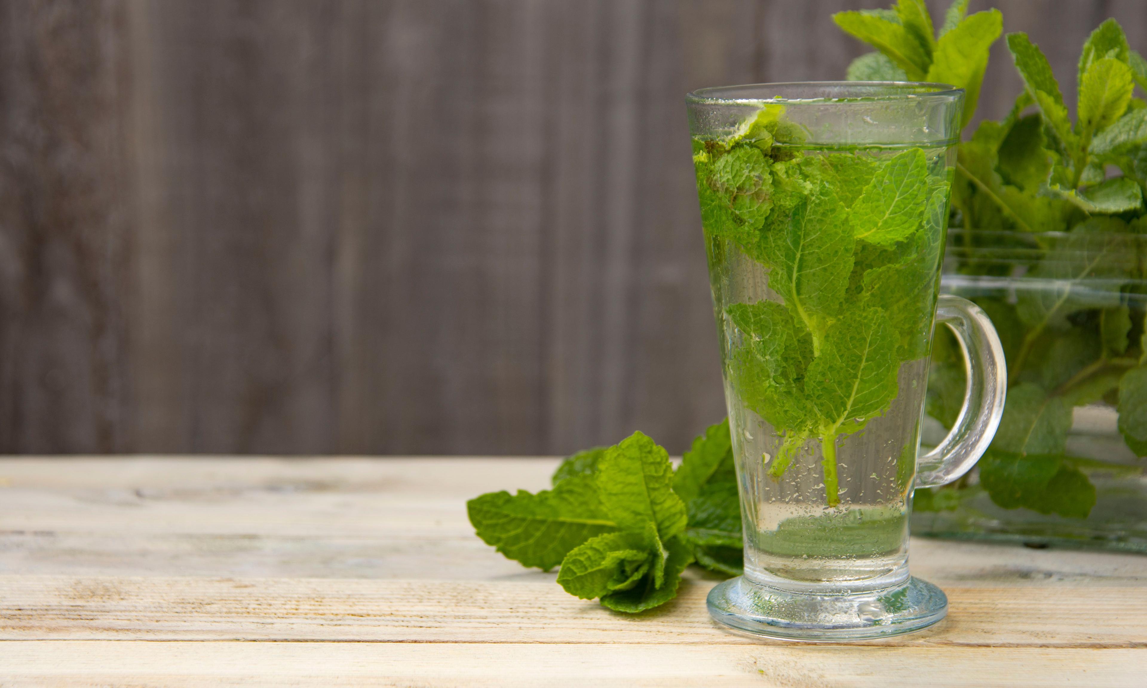 Erhan Inga/Shutterstock