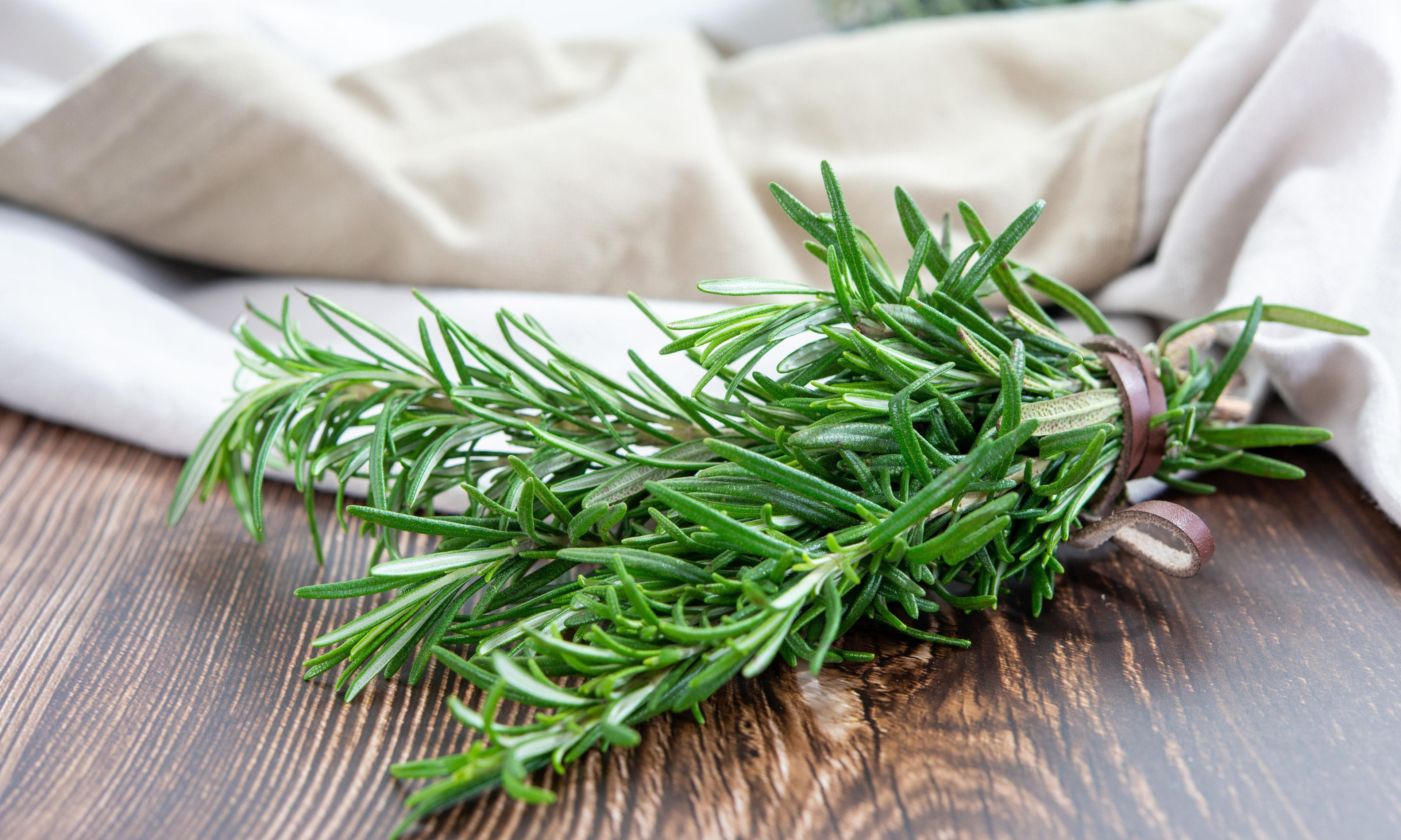 SrideeStudio/Shutterstock