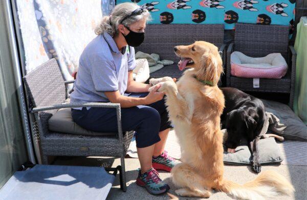 Cell Dog trainer Lynn works with rescue dog Buddy. (Courtesy of Cell Dogs)