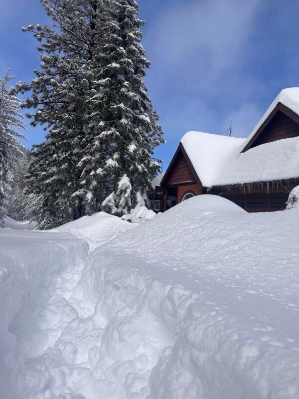 (Courtesy of Becky Gardner)