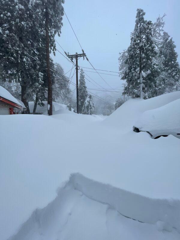 (Courtesy of Casey McLelland)