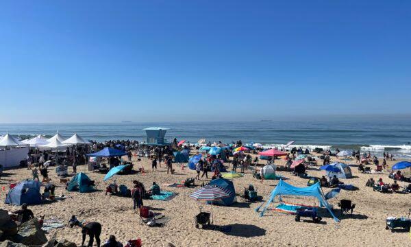 Dog lovers and corgis crowded the sands to celebrate the 11th annual Corgi Beach Day in Huntington Beach, Calif., April 1, 2023. (Carol Cassis/The Epoch Times)