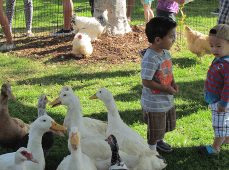 Spring Extravaganza in Buena Park, Calif. (Courtesy of City of Buena Park)