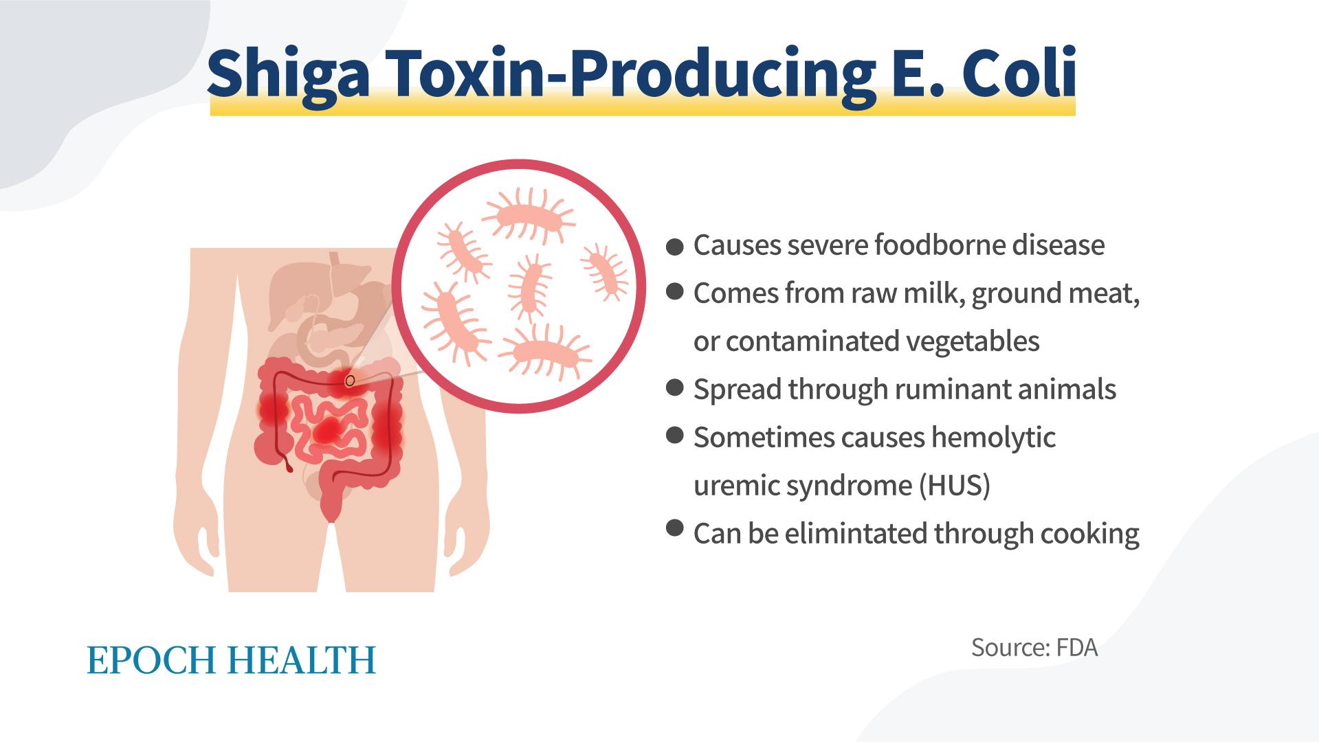 Shiga toxin-producing bacteria are E. coli strains one does not want to encounter. (The Epoch Times)