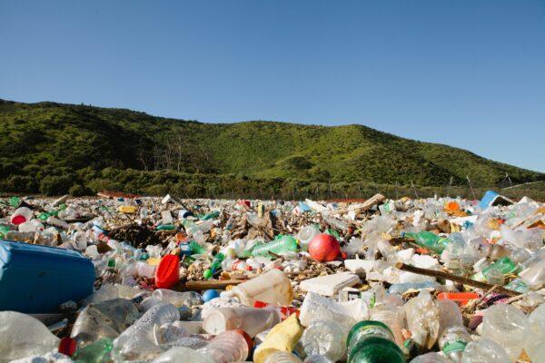 Tijuana River Estuary, near Goat Canyon, littered with debris, including plastic bottles, containers, toys, and other discarded trash. (Courtesy of Kyle Lishok/Surfrider Foundation)