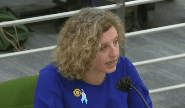 “We know this is a crisis that is not necessarily new, but newly getting the attention that it deserves," said Assemblywoman Pilar Schiavo. Above, Schiavo at a hearing on April 25, 2023. (Screenshot via YouTube/California Family Council)