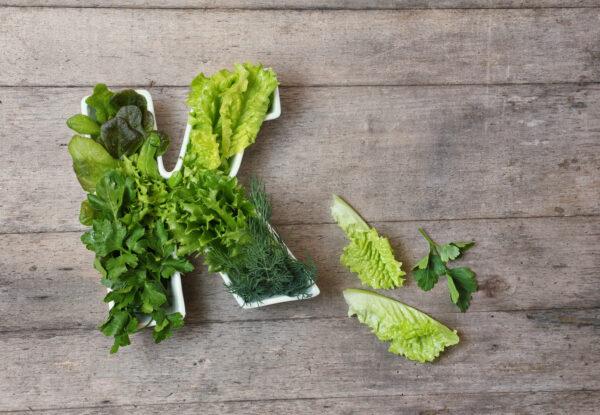 Vitamin K is found in leafy green vegetables as well as meat, eggs, and dairy. (Photo by Gargonia via Shutterstock.)