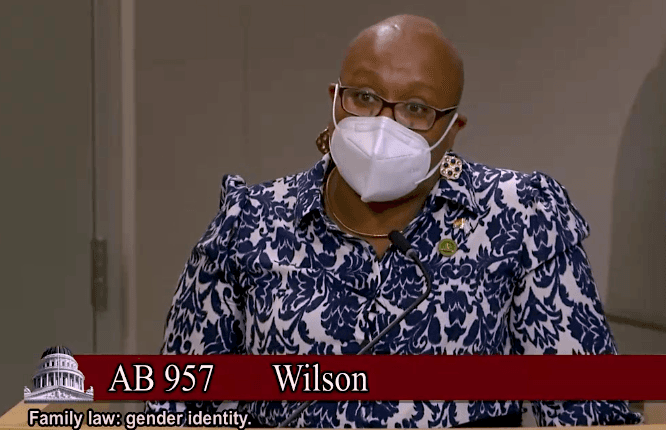 California State Assemblywoman Lori Wilson (D-Suisun City) speaks at a hearing in Sacramento on June 13, 2023. (Screenshot via California State Senate Judiciary Committee)