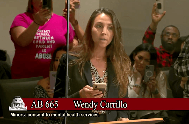 Nicole Pearson, an Orange County attorney and founder of Facts, Law, Truth, and Justice, speaks at a state Senate committee meeting in Sacramento on June 20, 2023. (Screenshot via Senate Judiciary Committee)