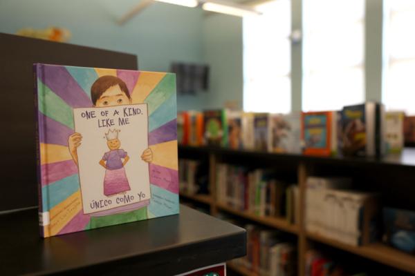 Newly donated LGBT books are displayed in the library at Nystrom Elementary School in Richmond, Calif., on May 17, 2022. (Justin Sullivan/Getty Images)