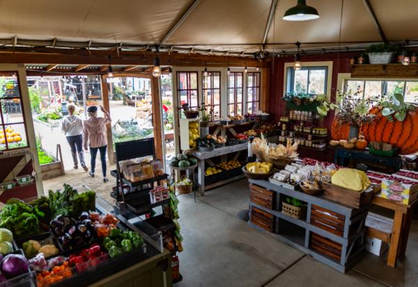 Manassero Farms in Irvine, Calif., on Oct. 7, 2021. (John Fredricks/The Epoch Times)