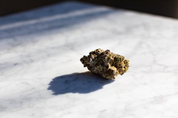 Cannabis samples are seen in Santa Ana, Calif., on Feb. 18, 2021. (John Fredricks/The Epoch Times)