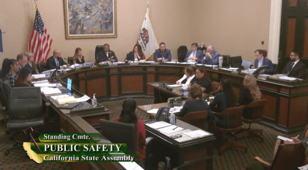 California State Assembly Public Safety Committee hearing in Sacramento, Calif., on July 11, 2023. (California State Assembly/Screenshot via The Epoch Times)
