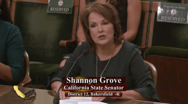 California State Sen. Shannon Grove, R-Bakersfield, speaks during an Assembly Public Safety Committee hearing in Sacramento on July 11, 2023. (California State Assembly/Screenshot via The Epoch Times)
