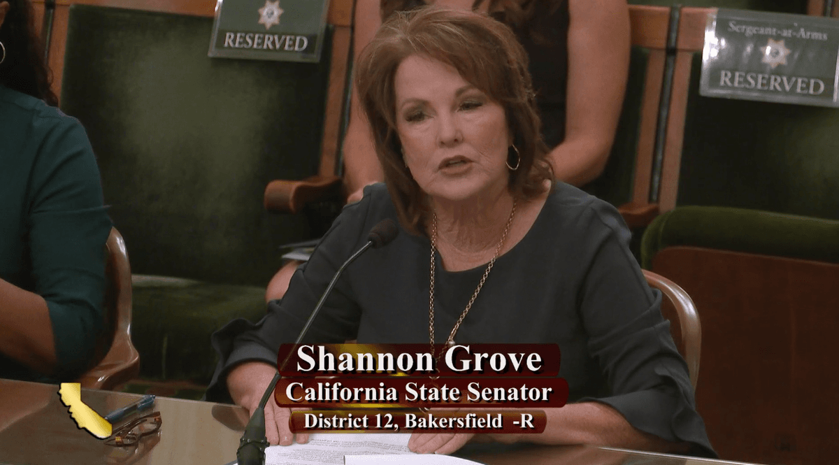 Sen. Shannon Grove (R-Bakersfield) speaks during a committee hearing in Sacramento on July 11, 2023. (California State Assembly/Screenshot via The Epoch Times)