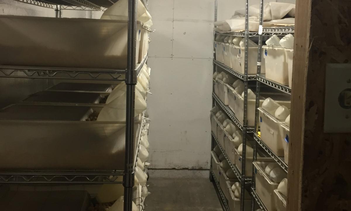The interior of a suspected biolab, in Reedley, Calif., on July 31, 2023. (Courtesy of City of Reedley)