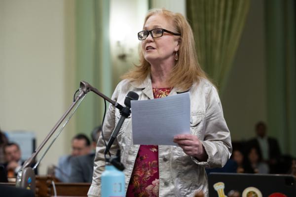 Assemblywoman Gail Pellerin, D-Santa Cruz, in Sacramento on April 27, 2023. (Assemblywoman Pellerin's Office)