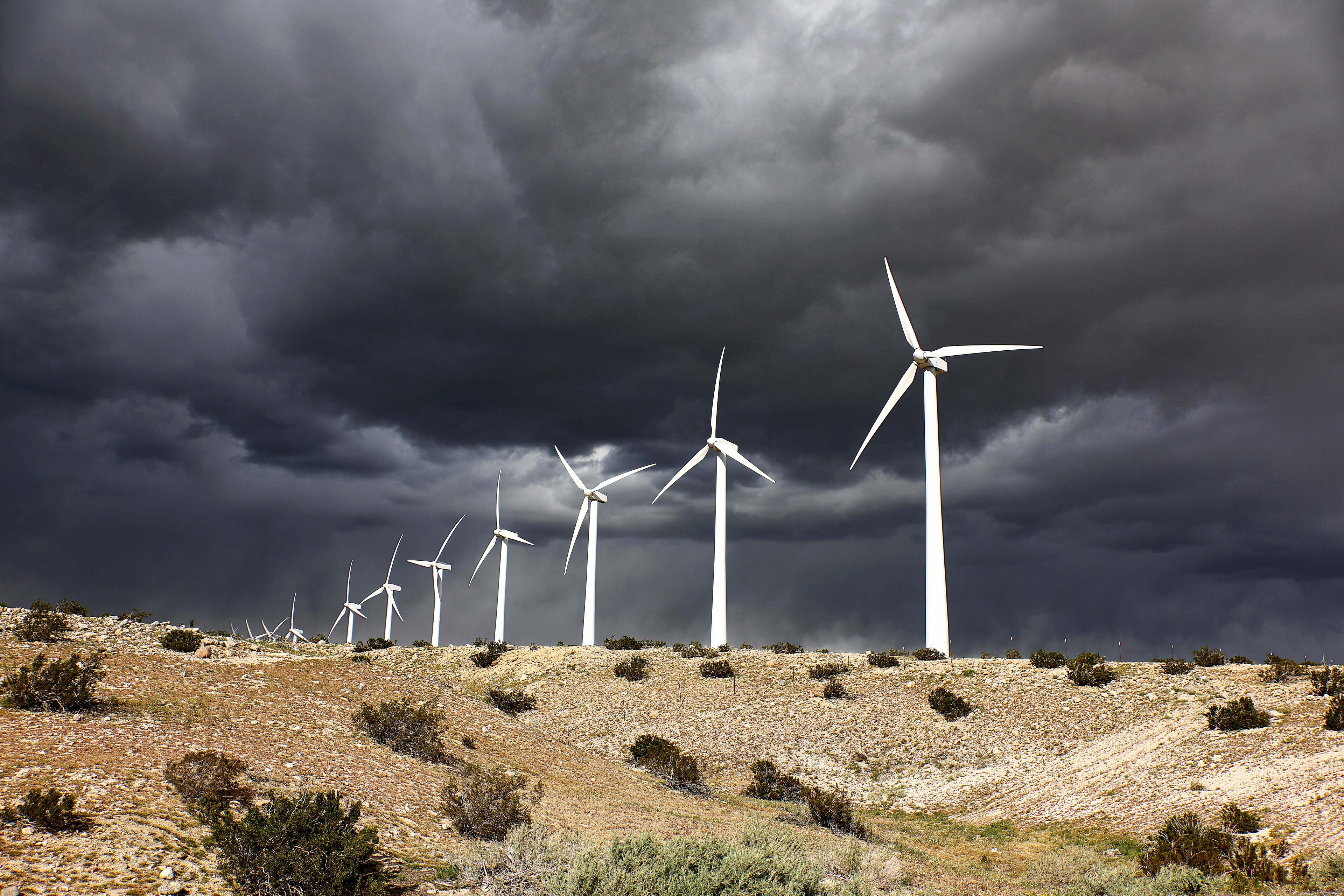 Wind Farm Analysis: Drawbacks of Green Energy