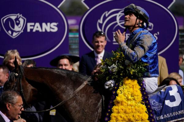 Junior Alvarado celebrates atop Cody's Wish after winning the Breeders' Cup Dirt Mile horse race at Santa Anita Park in Arcadia, Calif., Nov. 4, 2023. (Ashley Landis/AP Photo)