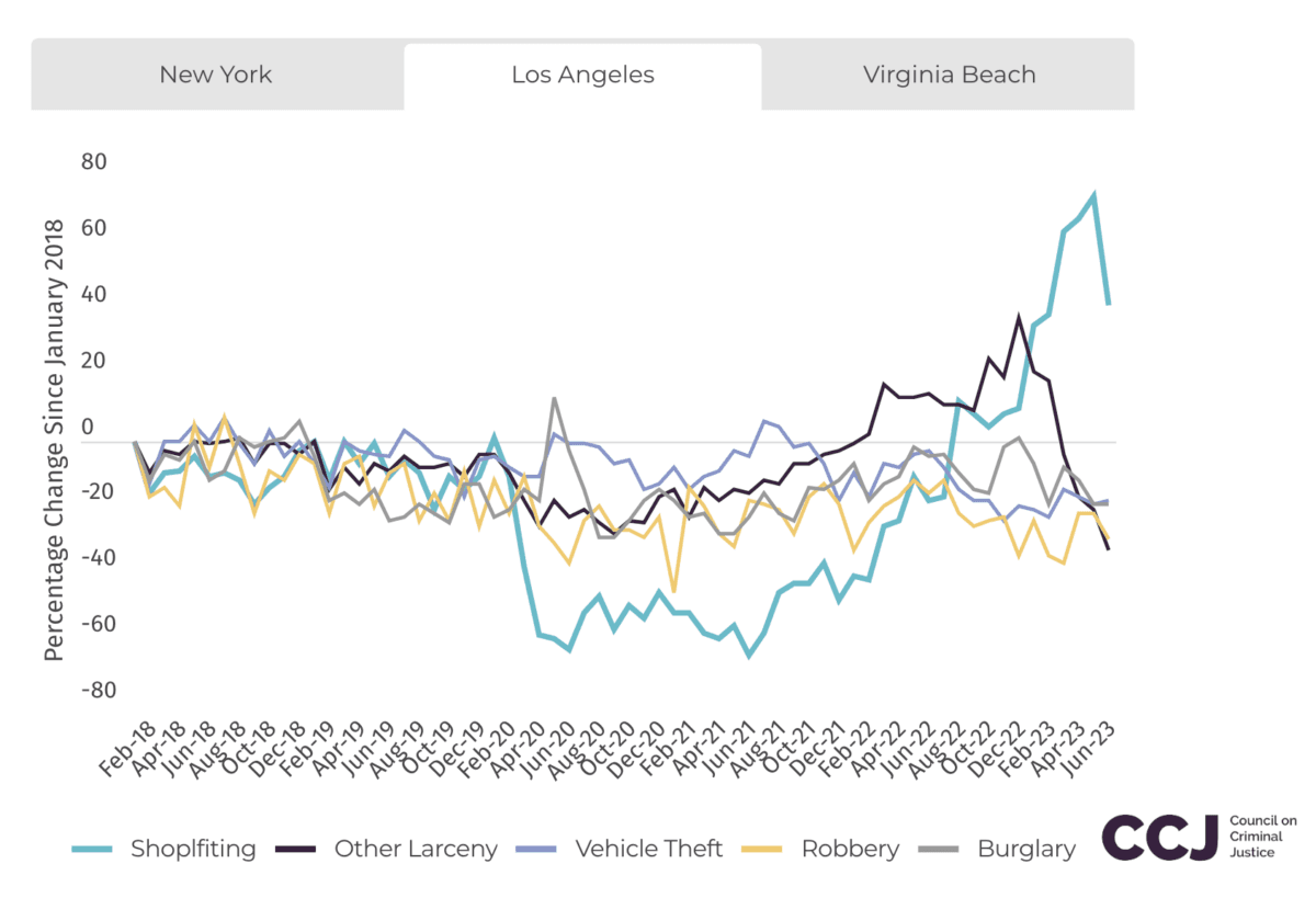 (Council on Criminal Justice/Screenshot via The Epoch Times)