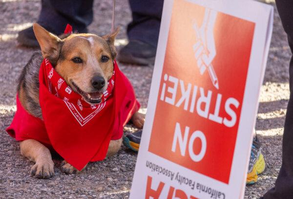 Strikers protest for higher wages and benefits at California Polytechnic State University of Pomona, in Pomona, Calif., on Dec. 4, 2023. (John Fredricks/The Epoch Times)