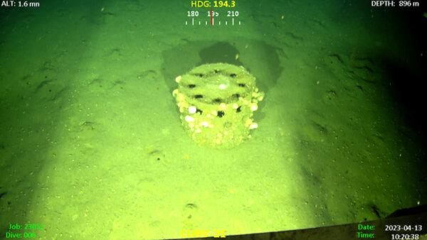 Example munitions surveyed by a remotely operated vehicle during a seafloor survey, led by the University of California–San Diego Scripps Institution of Oceanography, of the San Pedro Basin in 2023. (Courtesy of University of California–San Diego Scripps Institution of Oceanography)