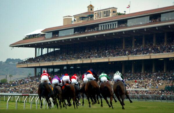 Horses race with the grandstands in the background at the Del Mar Thoroughbred Club in Del Mar, Calif., on July 20, 2005. (Donald Miralle/Getty Images)
