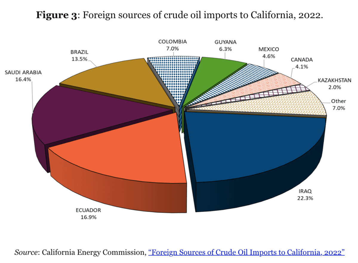 (Independent Institute/Screenshot via The Epoch Times)