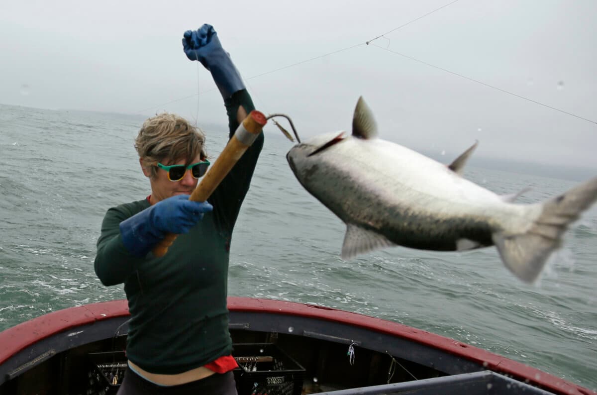 Commercial fisherman Sarah Bates hauls in a Chinook salmon on the fishing boat Bounty near Bolinas, Calif., on July 17, 2019. (Eric Risberg/AP Photo)
