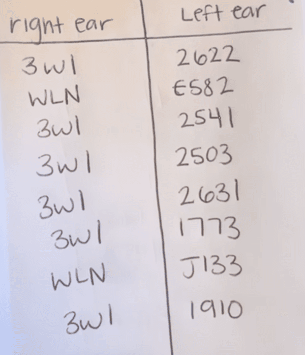 Tattoo numbers on some of the goats stolen from the Drake Family Farms in Ontario, Calif., on April 15, 2024. (Instagram/Screenshot via The Epoch Times)