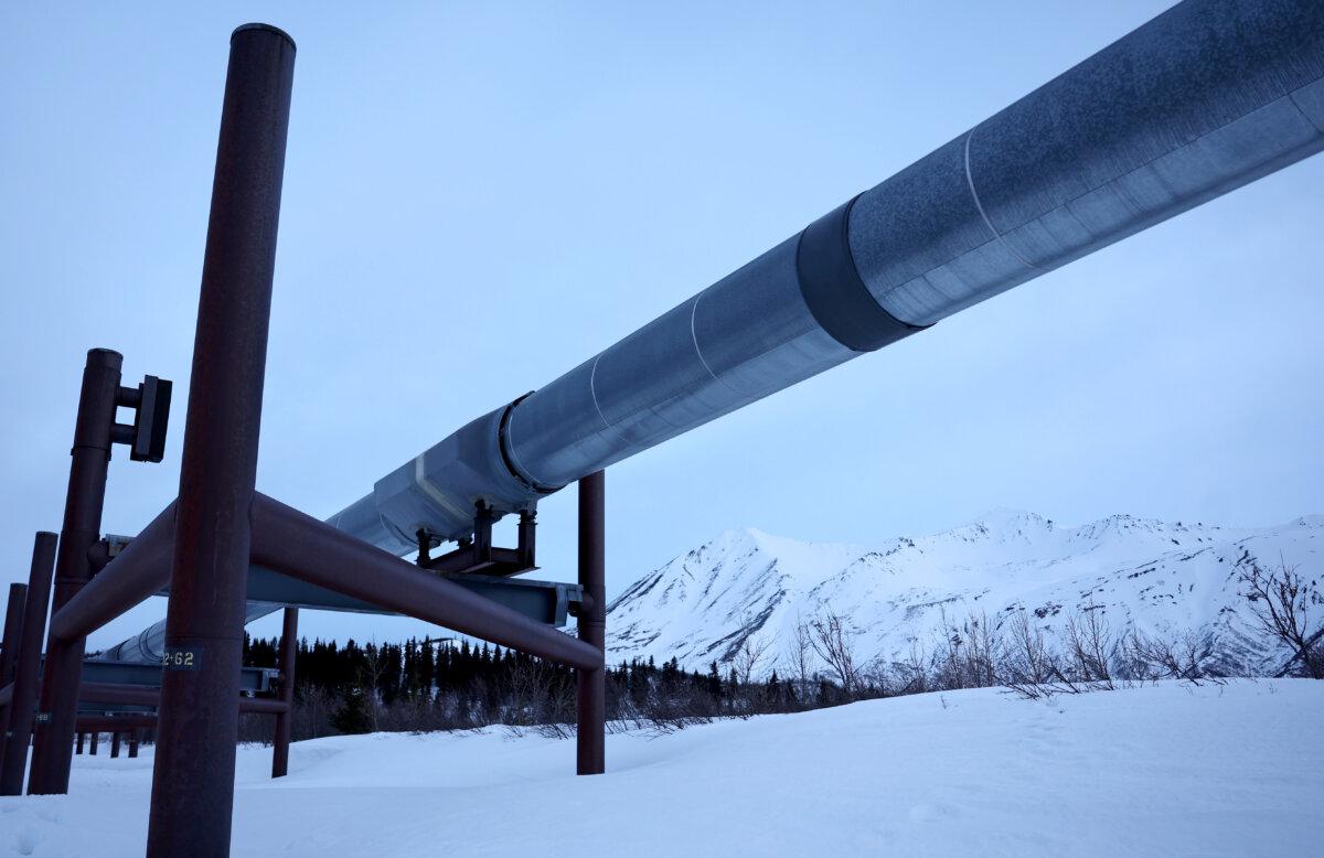 Part of the 800-mile-long Trans-Alaska Pipeline System runs past the Alaska Range mountains, near Delta Junction, Alaska, on May 5, 2023. (Mario Tama/Getty Images)