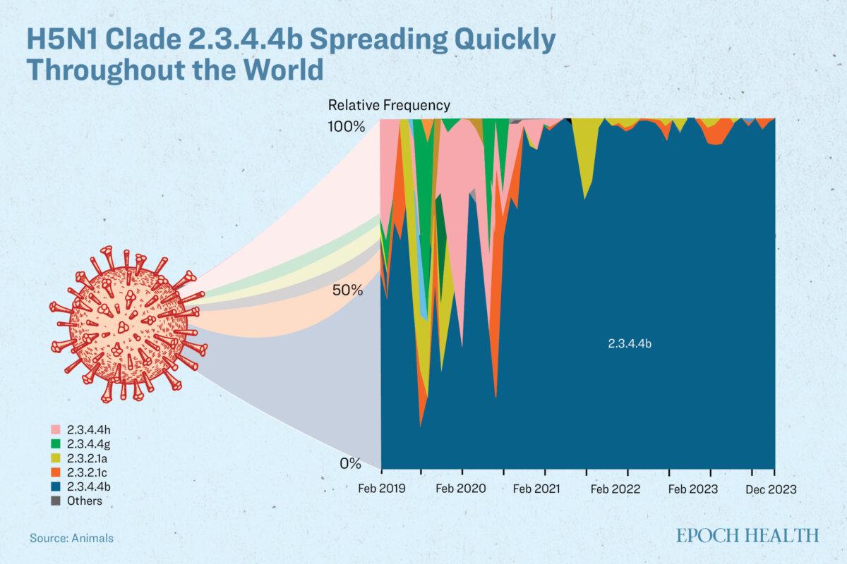 Relative frequency of different clades of bird flu viruse based on data from GISAID’s EpiFlu database. (Illustrated by The Epoch Times)