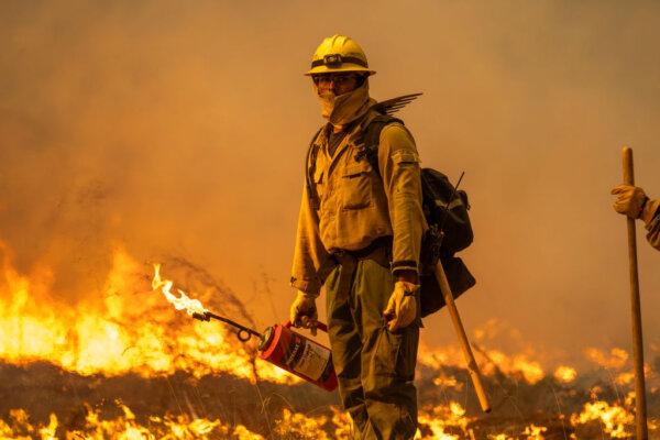 Flames quickly grow as firefighters set a backfire on the eastern front of the Park Fire near Chico, Calif., on July 28, 2024. (David McNew/Getty Images)