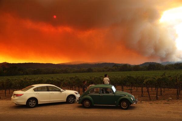 Local residents sit next to a vineyard as they watch the LNU Lightning Complex fire burning in the nearby hills in Healdsburg, Calif., on Aug. 20, 2020. (Justin Sullivan/Getty Images)