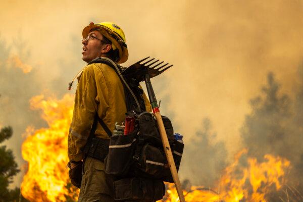 Flames quickly grow as firefighters set a backfire on the eastern front of the Park Fire near Chico, Calif., on July 28, 2024. (David McNew/Getty Images)