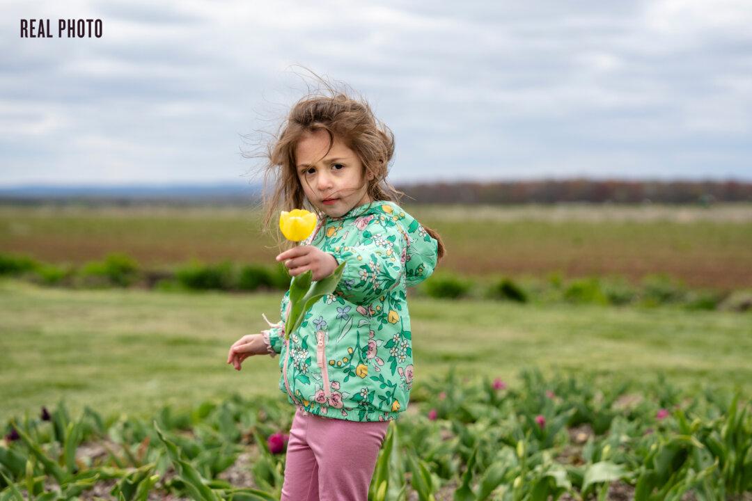(Top: AI-generated with Freepik; Bottom: Samira Bouaou/The Epoch Times)