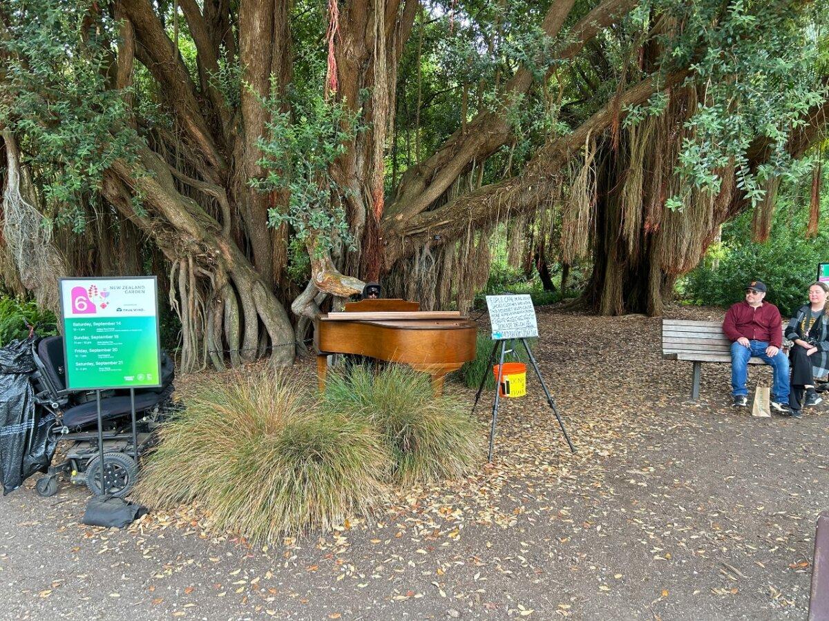 Piano No. 6 at the Botanical Garden in San Francisco on Sept. 19, 2024. (Dylan Morgan/The Epoch Times)