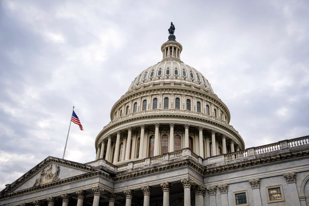 The U.S. Capitol in Washington on Nov. 19, 2024. The new efficiency agency is set to target regulations in addition to wasteful spending. (Madalina Vasiliu/The Epoch Times)