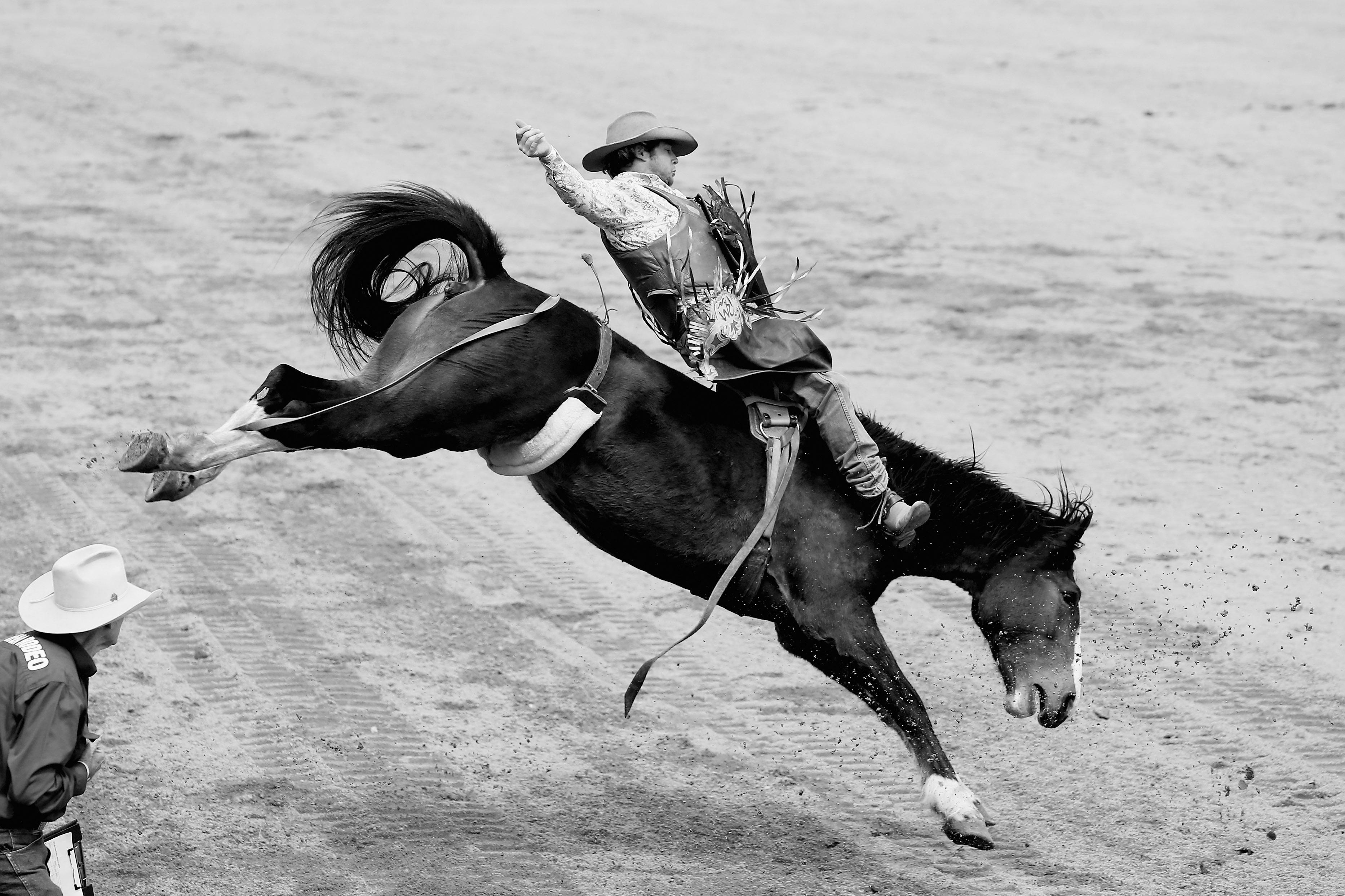 A rider competes in the open saddle bronc during the Mareerba Rodeo on July 14, 2013 in Cairns, Australia. (Chris Hyde/Getty Images)