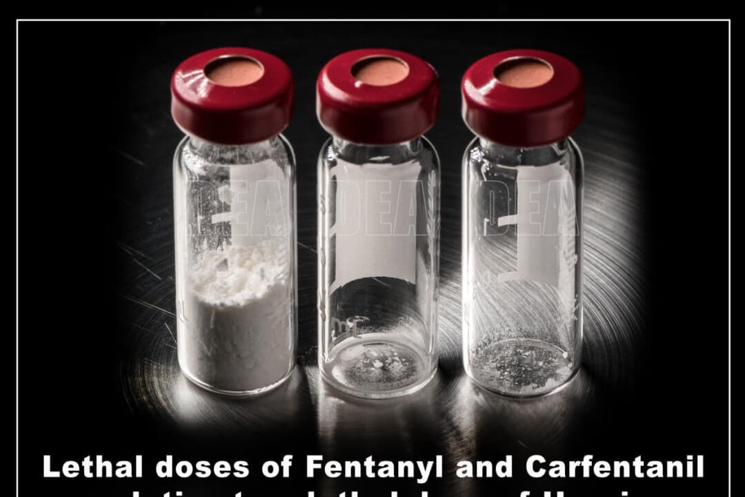 A comparison of the lethal doses of heroin, carfentanil, and fentanyl. Law enforcement reports say carfentanil, which largely disappeared from the United States in recent years, is reappearing as the fentanyl supply faces pressure in China and intensified operations targeting narco-terrorists. (U.S. Drug Enforcement Administration)
