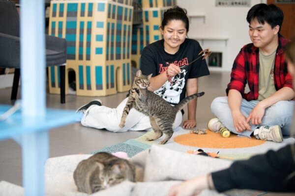 (Courtesy of David Yeung)