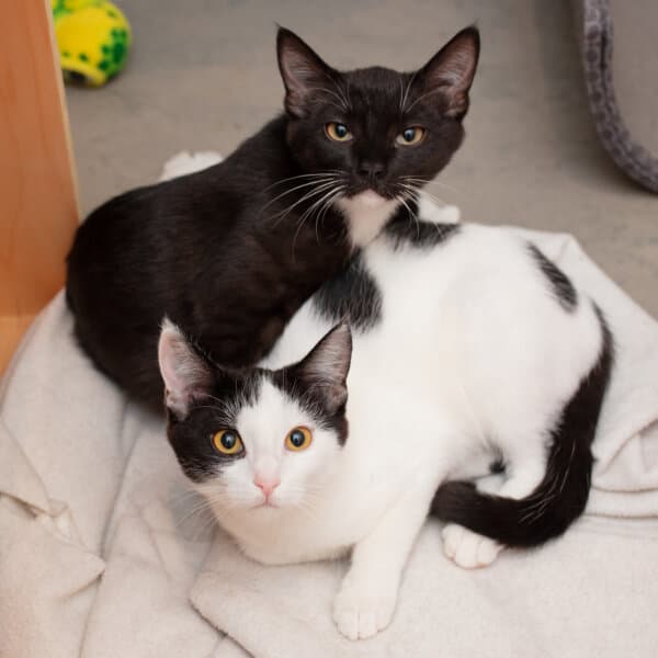 (Courtesy of Erica Danger)