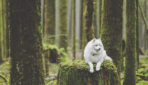 (Courtesy of Rita Hogan)