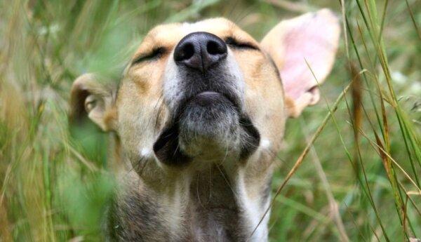 (Courtesy of Rita Hogan)